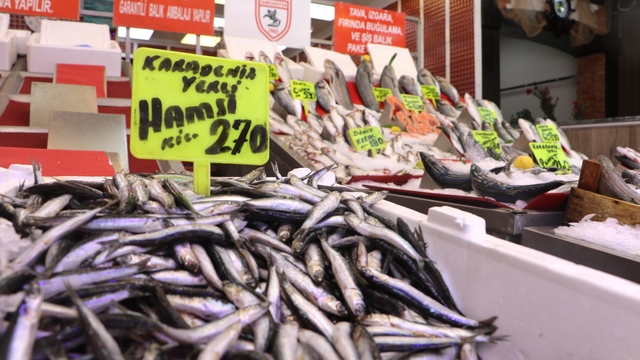 Samsun'da av sezonun ilk balıkları tezgaha çıktı