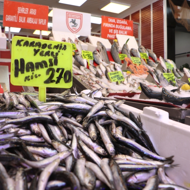 Samsun'da av sezonun ilk balıkları tezgaha çıktı