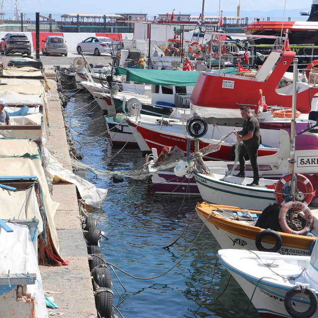 Tekirdağlı balıkçılar limana istavrit ve kolyozla döndü