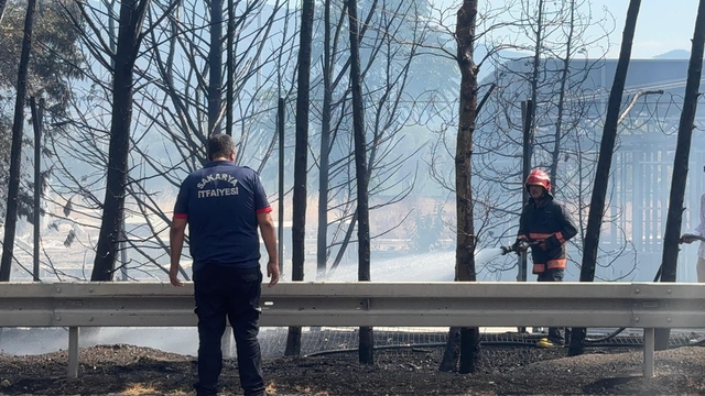 Ağaçlık alanda çıkan yangın, kontrol altına alındı
