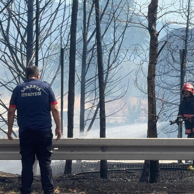 Ağaçlık alanda çıkan yangın, kontrol altına alındı