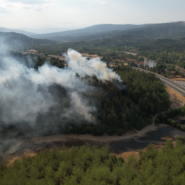 Karabük'te başlayan yangın Kastamonu'ya ulaştı