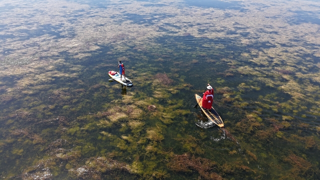 'İki devlet bir can Türkiye-Azerbaycan' sloganıyla Beyşehir Gölü için kürek çektiler