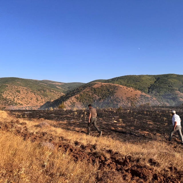 Tokat'ta çıkan orman yangınında 2 hektarlık alan zarar gördü