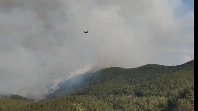 Karabük'te orman yangını 2'nci gününde (2)