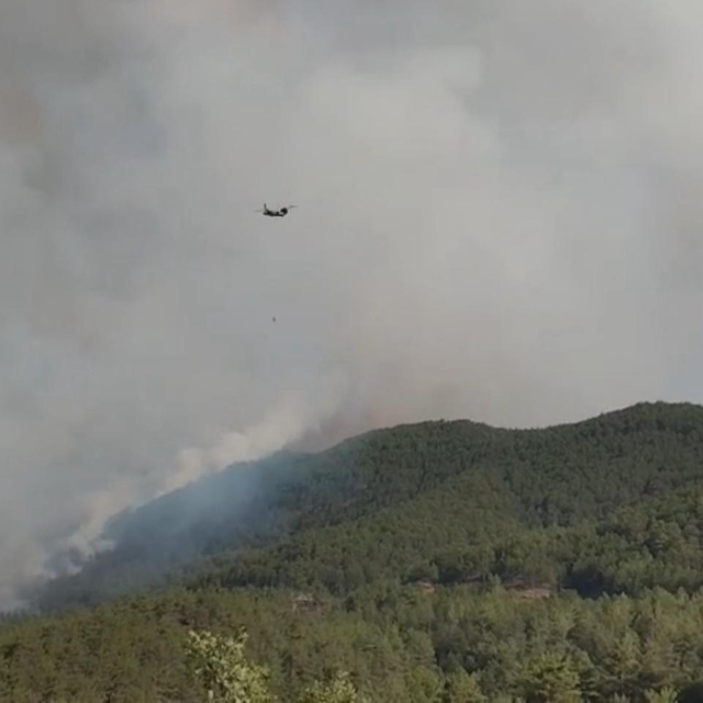 Karabük'te orman yangını 2'nci gününde (2)