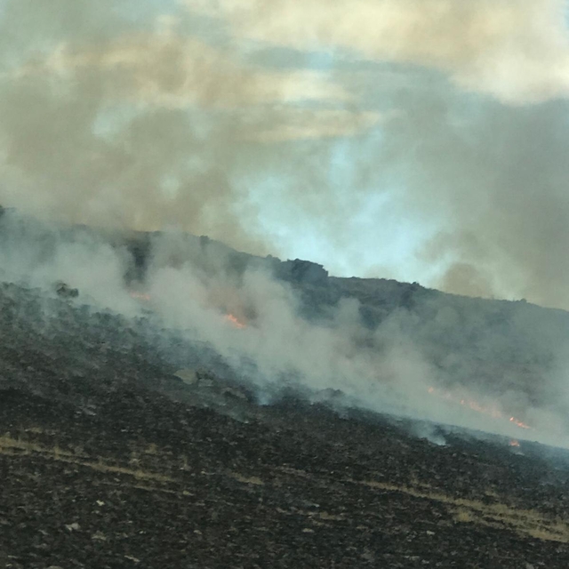 Kars'ta askeri tatbikat alanında çıkan anız yangını söndürüldü