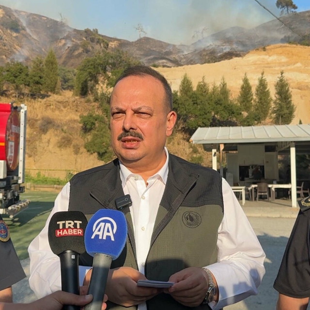 Aydın Efeler'de orman yangını (2)