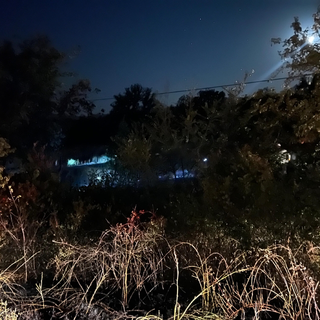 Çorum'da yol kenarında çıkan yangın söndürüldü