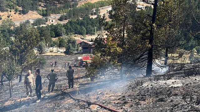 Gümüşhane'deki örtü yangını söndürüldü