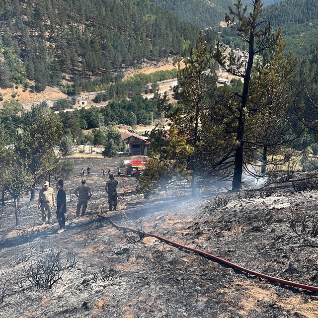 Gümüşhane'deki örtü yangını söndürüldü