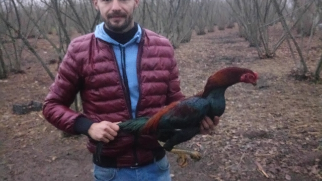 Fabrikada duvar ile çelik boru arasına sıkışan işçi öldü