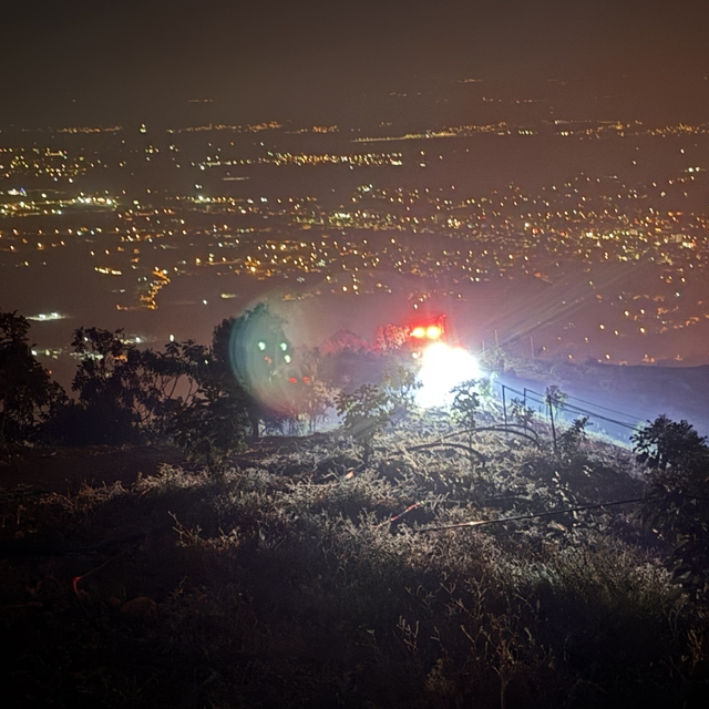 Aydın Efeler'de orman yangını (3)