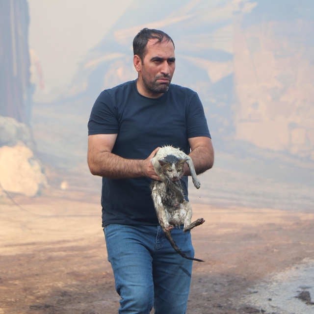 Alevlerin arasına girip kediyi kurtardı