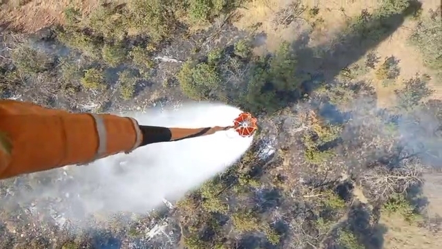 Şırnak'ta orman yangını