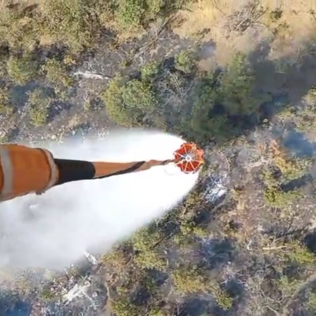 Şırnak'ta orman yangını