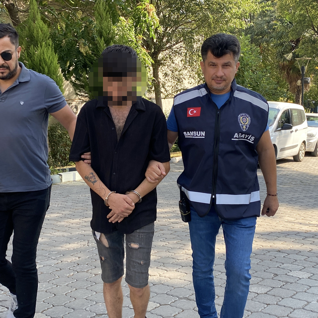 Park halindeki kamyonetin 10 bin lira değerindeki havalı kornasını çaldı