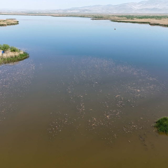 Eber Gölü'ne giriş ve çıkışlar, ikinci bir emre kadar yasaklandı