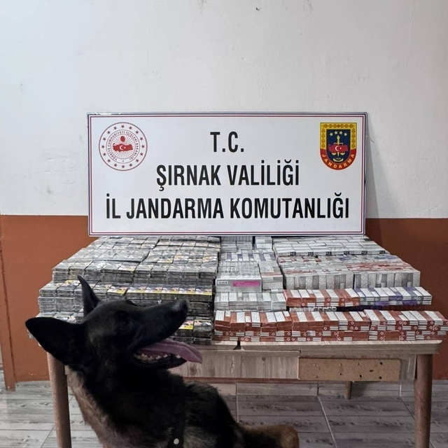 Şırnak'ta kaçakçılık ve asayiş operasyonlarında 2 kişi tutuklandı