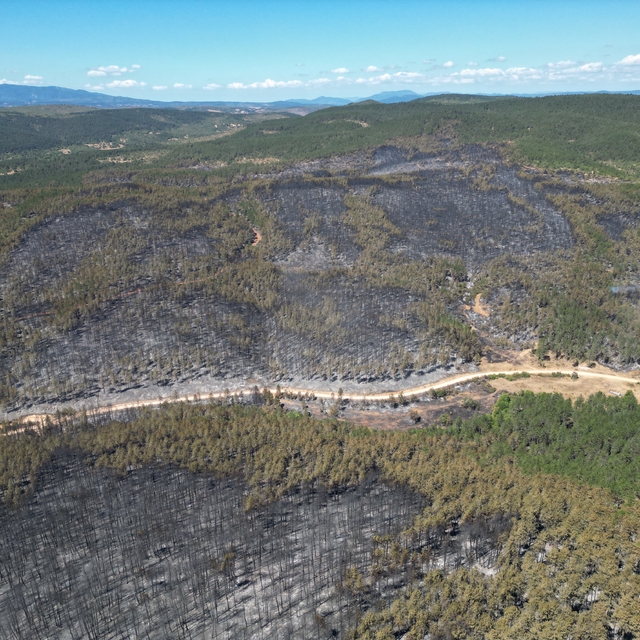 Karabük ve Kastamonu'da orman yangınlarına müdahale sürüyor