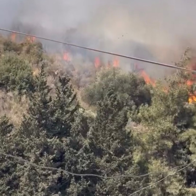 Defne'de zeytinlik alanda çıkan yangın söndürüldü