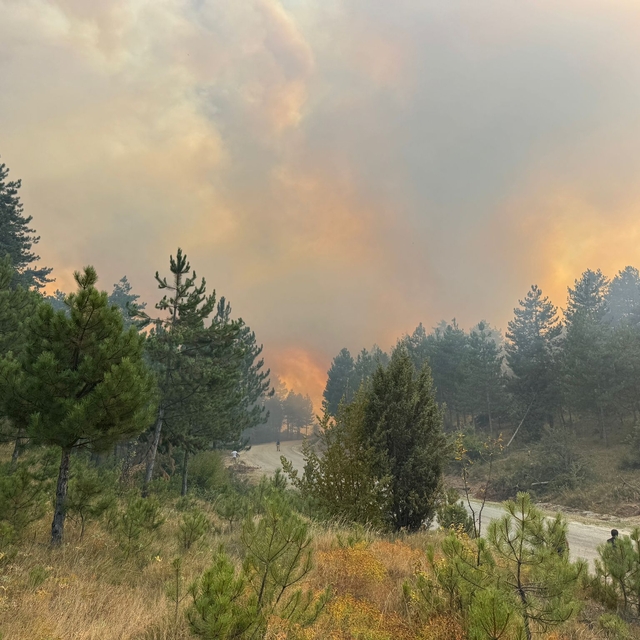 Karabük'te çıkan orman yangınına müdahale ediliyor