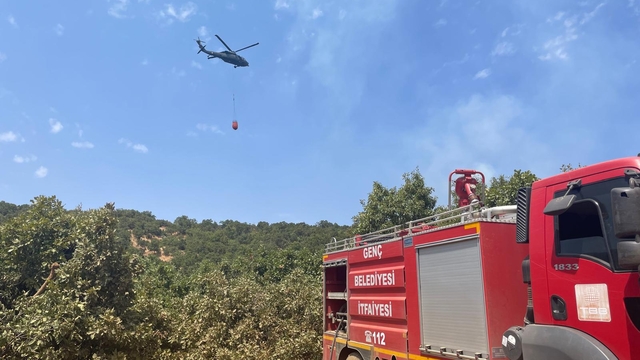 Bingöl'de orman yangını