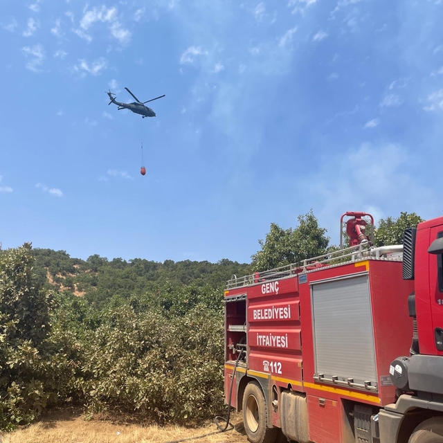 Bingöl'de orman yangını