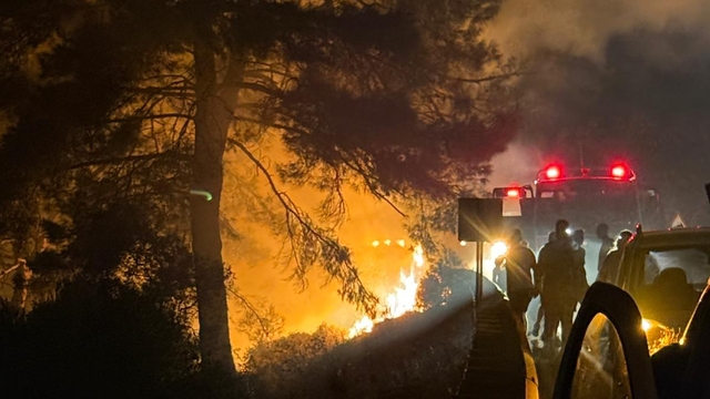 Muğla'da çıkan orman yangını kontrol altına alındı
