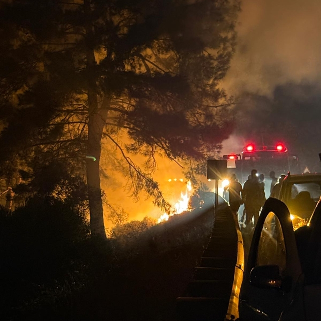 Muğla'da çıkan orman yangını kontrol altına alındı