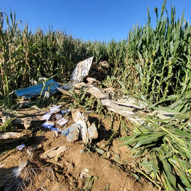 İzmir'de eğitim uçağı düştü, pilot hayatını kaybetti