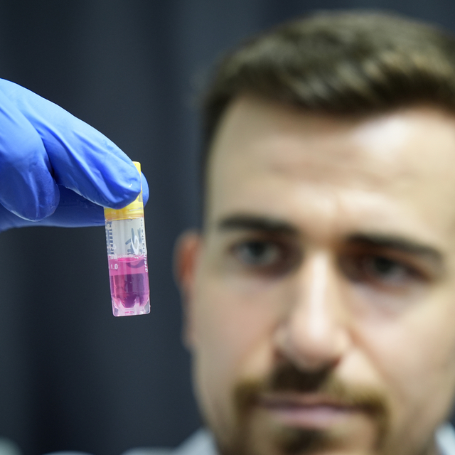 İzmir'de kurulan kök hücre merkezi, hasta sevimli dostlara umut oluyor