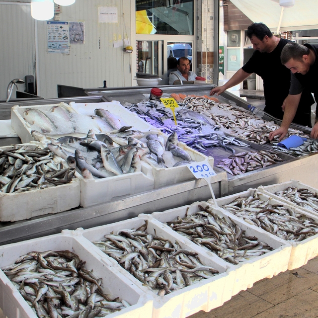 Sinop'ta balıkçılar denizden umduğunu bulamadı