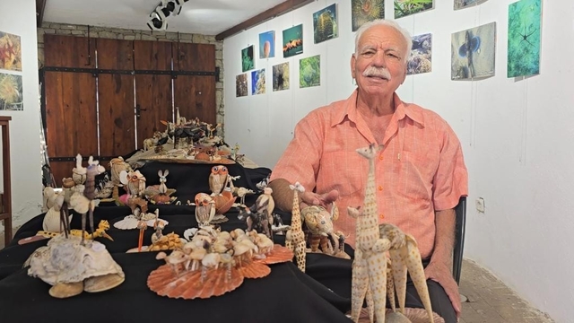 Datça'da "Deniz Kabukları ve Su Altı Fotoğrafları" sergisi açıldı