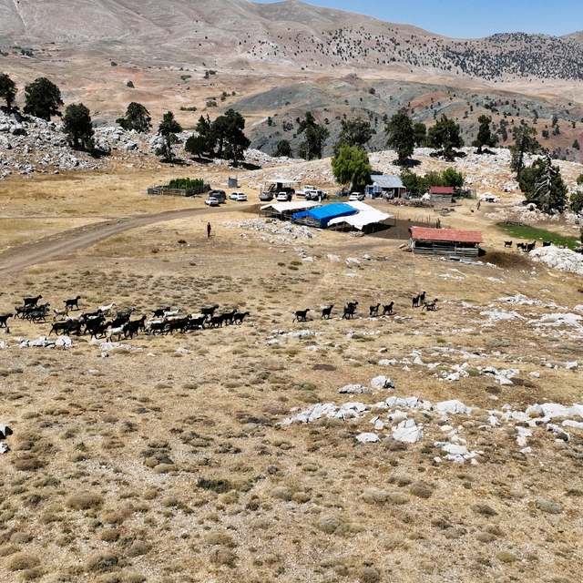 Antalya'da "Çoban Haritası Projesi" yürütülüyor