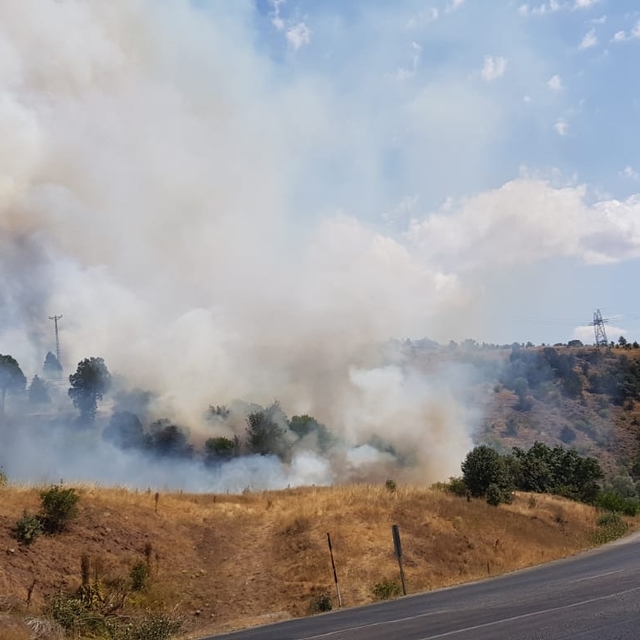 Sivas'ta ağaçlık alanda çıkan yangını söndürme çalışmaları sürüyor