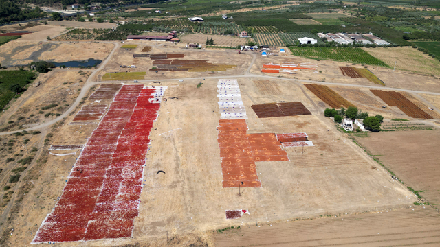 Gediz Ovası kurutmalık ürünlerle renklendi