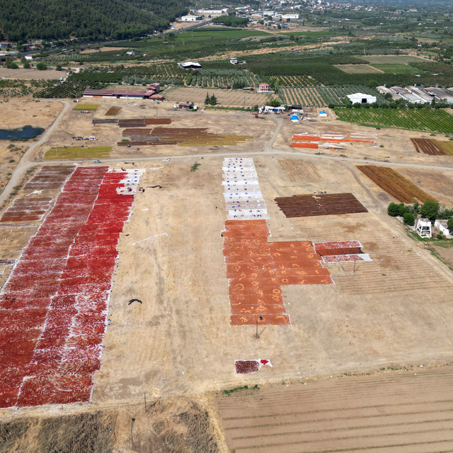 Gediz Ovası kurutmalık ürünlerle renklendi
