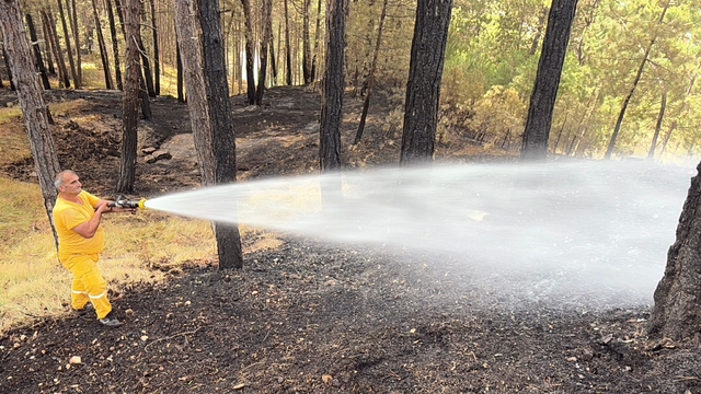 Bakan Yumaklı: Kastamonu ve Karabük'te orman yangınları büyük ölçüde kontrol altında (2)