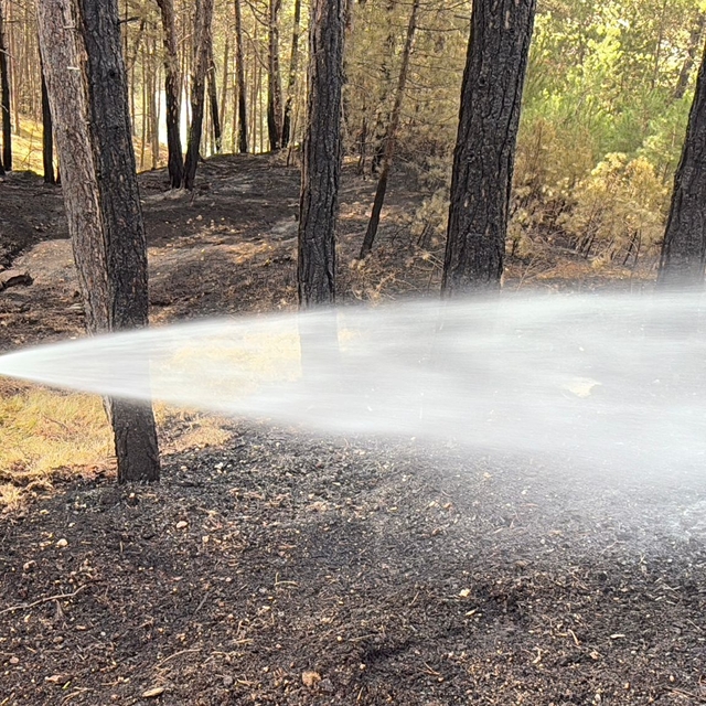 Bakan Yumaklı: Kastamonu ve Karabük'te orman yangınları büyük ölçüde kontro...