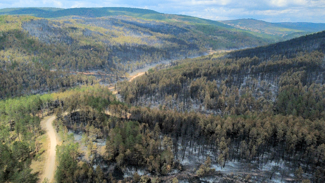 Karabük'te orman yangınlarında zarar gören alanlar havadan görüntülendi