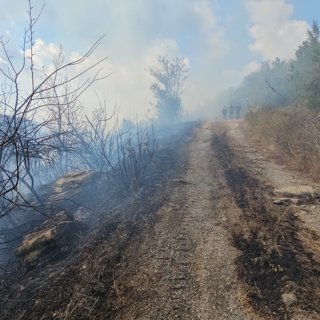 Zonguldak'ta çıkan örtü yangını kontrol altına alındı