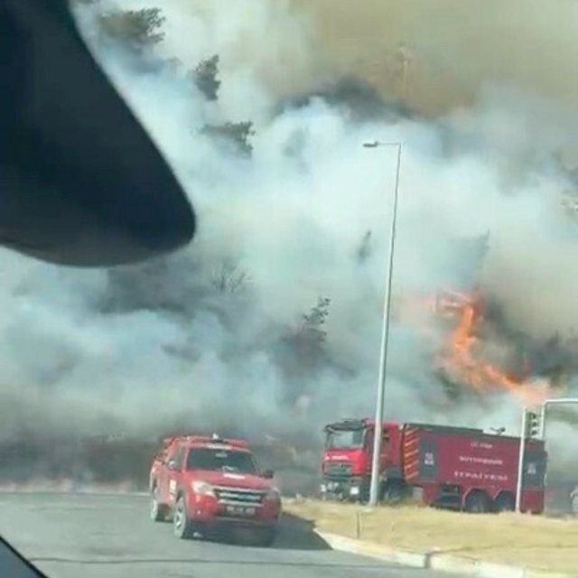 Aydın'da maki yangını