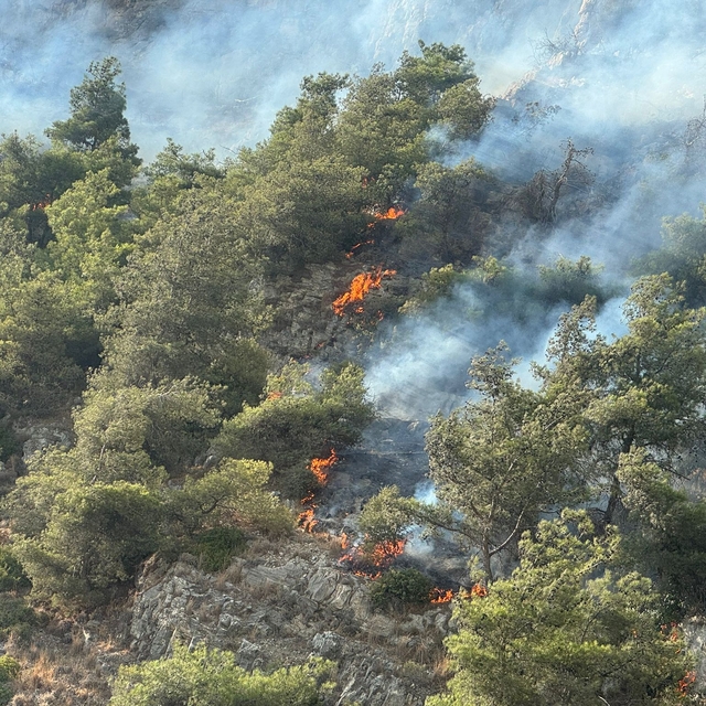 Aydın'ın Söke ilçesindeki orman yangınına müdahale ediliyor