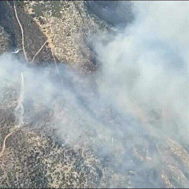 Aydın'da maki yangını (2)