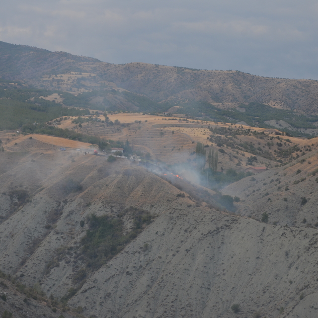 Çorum'da çıkan yangında 10 dekar alan zarar gördü