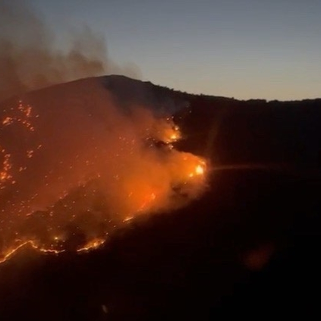 Aydın'da maki yangını (3)