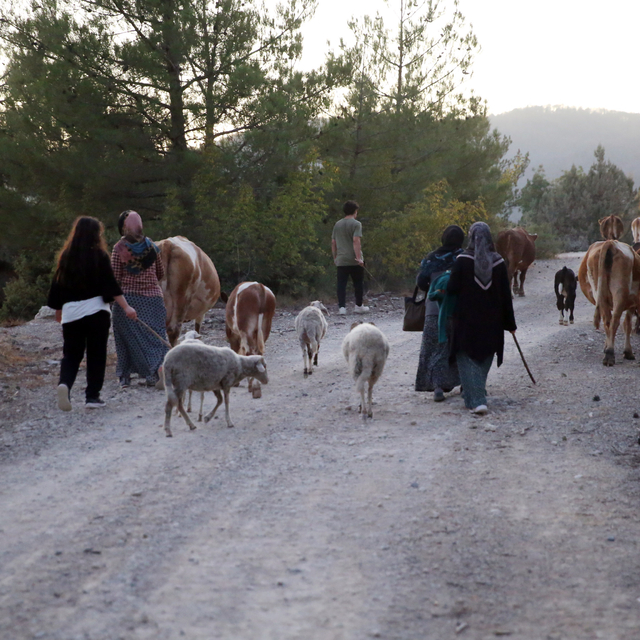 GÜNCELLEME 4 - Kastamonu-Karabük sınırındaki iki orman yangını kontrol altı...