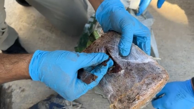 Yolcu otobüsünde dış yüzeyi 'pul biber' ile kaplı 7 kilo eroin ele geçirildi