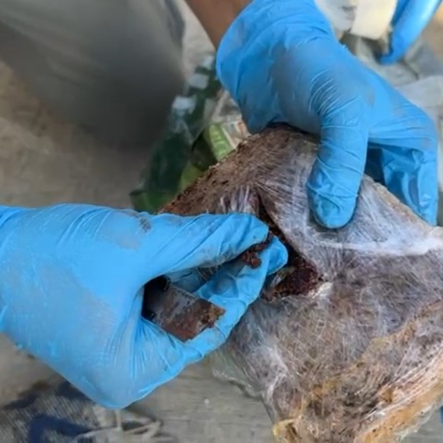 Yolcu otobüsünde dış yüzeyi 'pul biber' ile kaplı 7 kilo eroin ele geçirild...